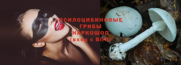 соль ск Липки