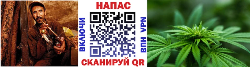 МАРИХУАНА MAZAR Ясный